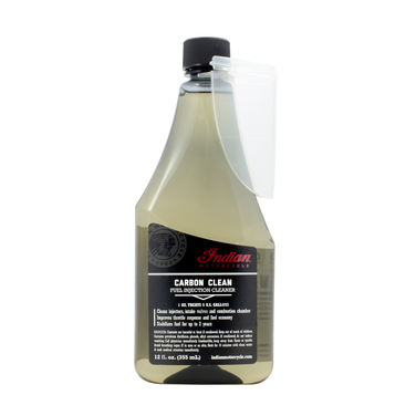Carbon Clean Fuel Treatment, For use in Motorcycles, Powersports, Marine, and Small Engine Applications, 2881911, 12 Oz