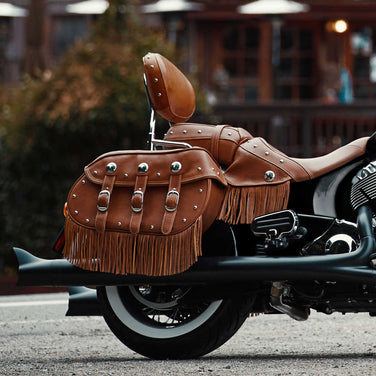 Steel 12 in. Quick Release Passenger Sissy Bar, Chrome