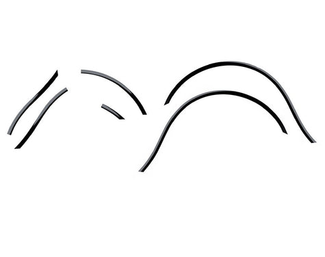 Front and Rear Fender Trim in Black, Pair - 2880730