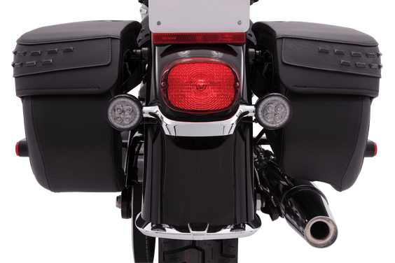 Fang® AMBER Signal Light Inserts, Black (Single Circuit)